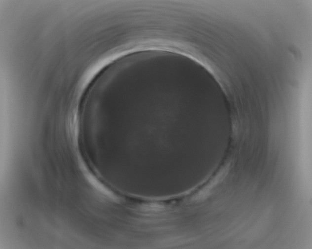 X0000114521515200910191144
