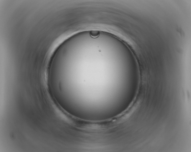 X0000114521517200910191144
