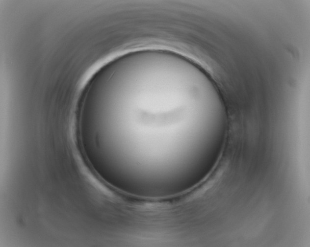 X0000114521518200910191144