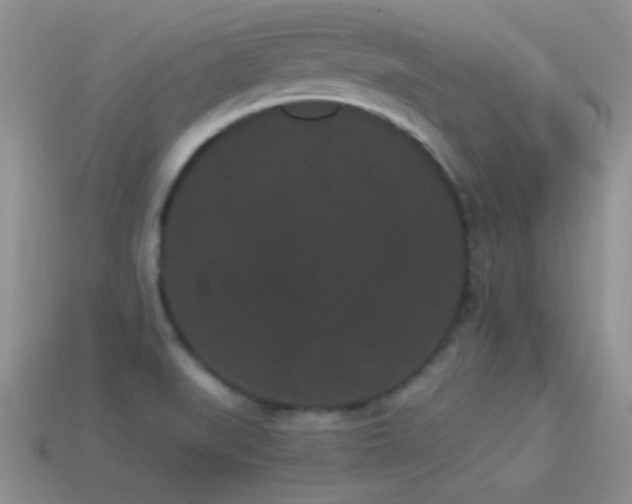 X0000114521519200910191144