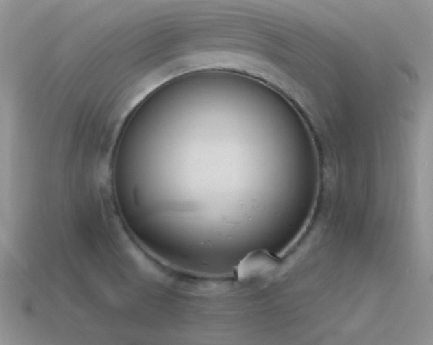 X0000114521521200910191144