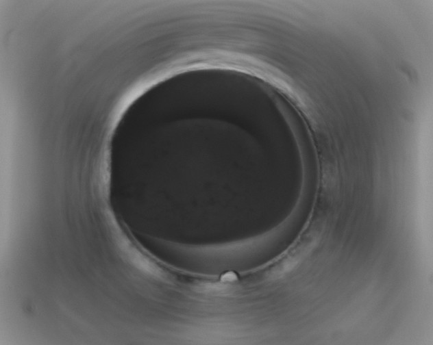 X0000114521522200910191144