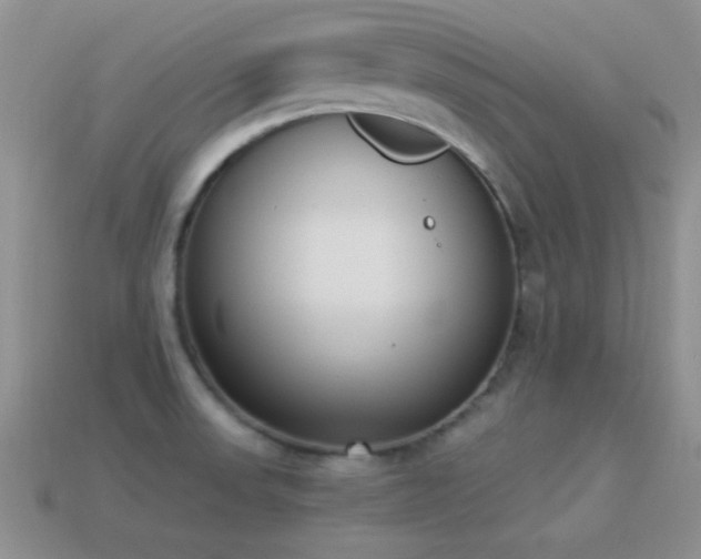 X0000114521523200910191144