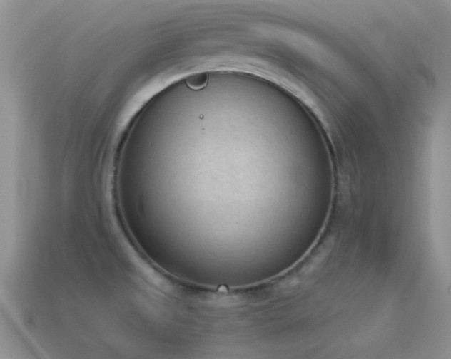 X0000114521525200910191144