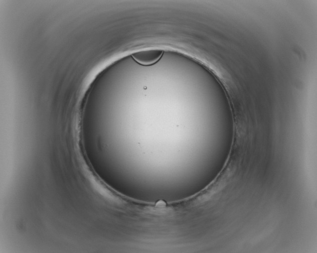 X0000114521526200910191144