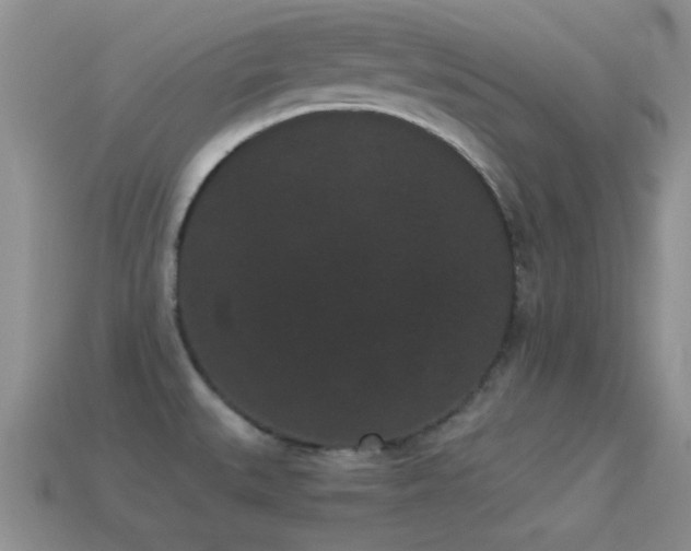 X0000114521527200910191144
