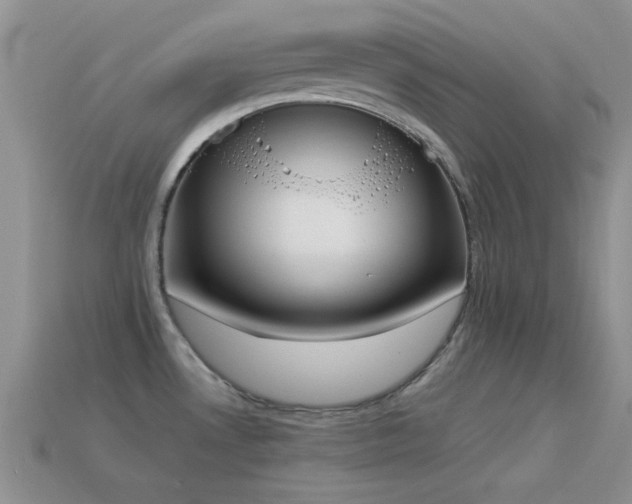 X0000114521530200910191144