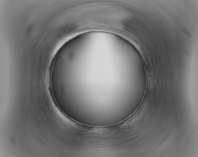 X0000114521531200910191144