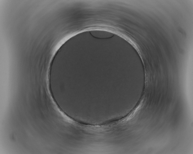 X0000114521533200910191144