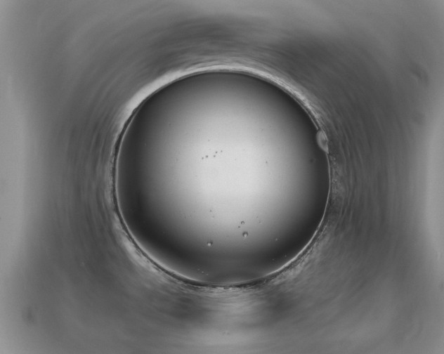 X0000114521534200910191144