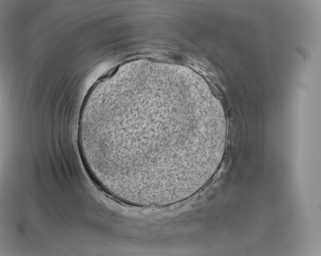 X0000114520003200911091200