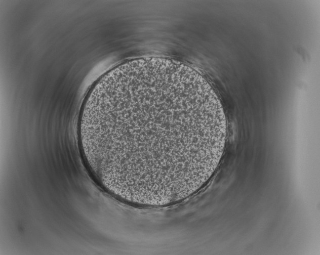 X0000114520004200911091200