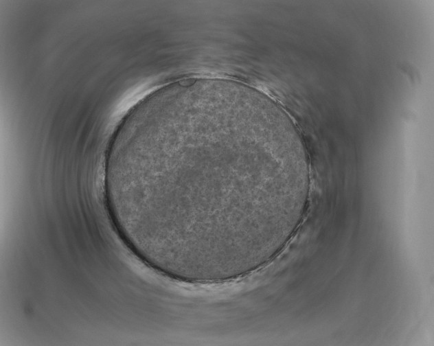 X0000114520005200911091200