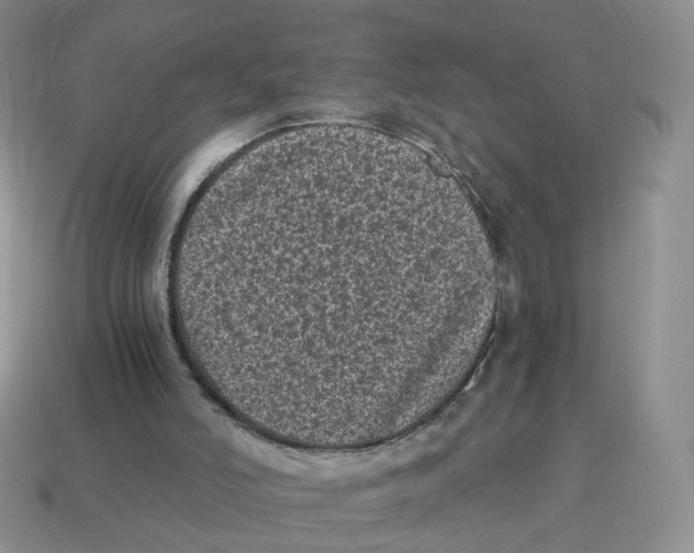 X0000114520006200911091200