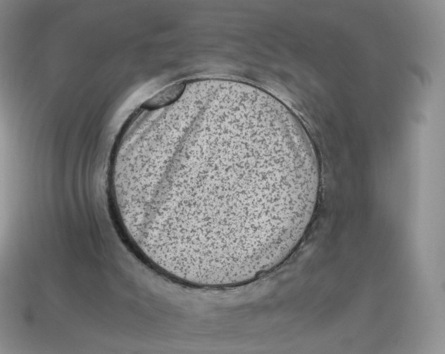 X0000114520007200911091200