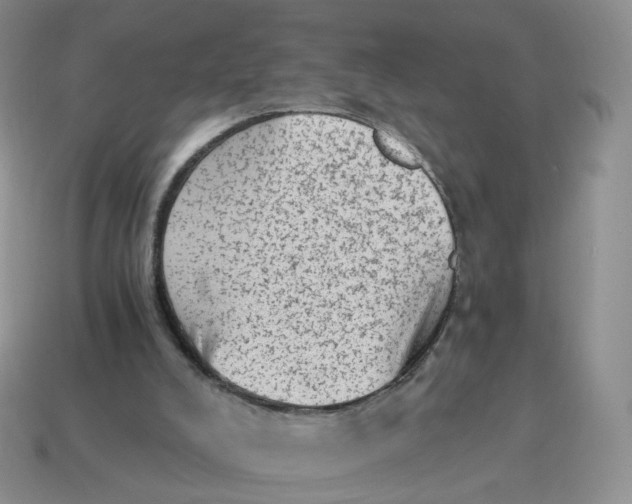 X0000114520008200911091200