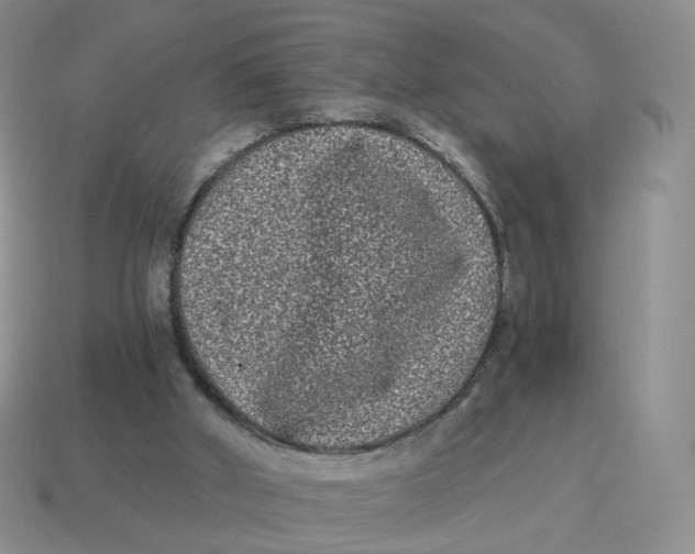 X0000114520010200911091200