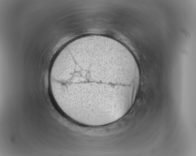 X0000114520011200911091200