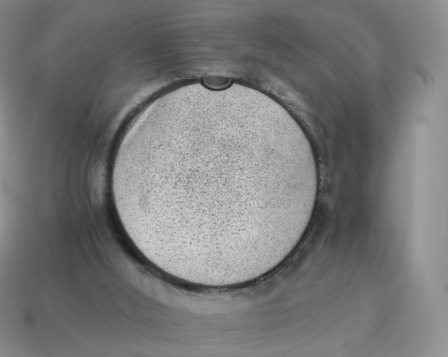 X0000114520012200911091200