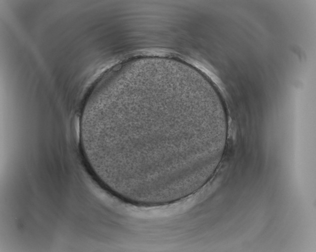 X0000114520013200911091200