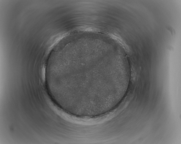 X0000114520014200911091200