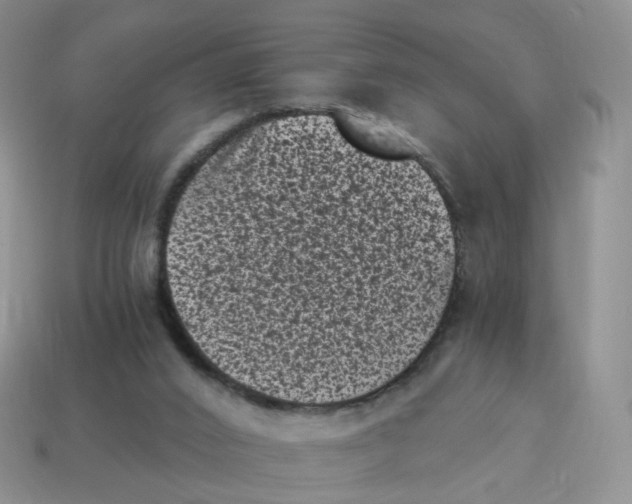 X0000114520016200911091200