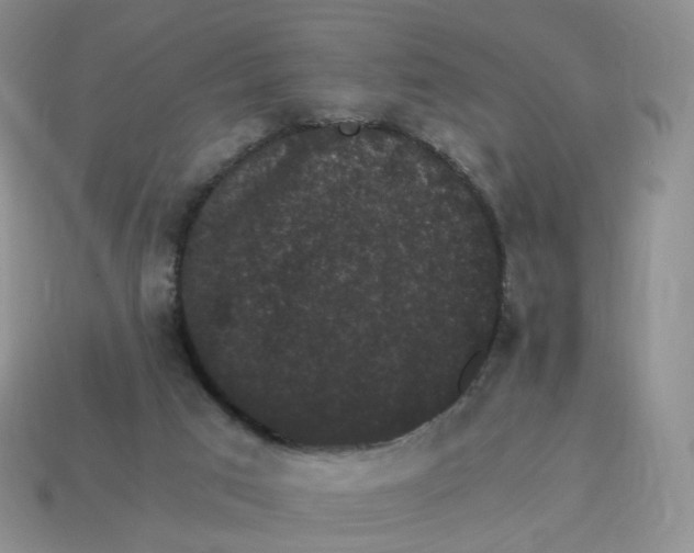 X0000114520017200911091200