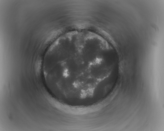 X0000114520018200911091200