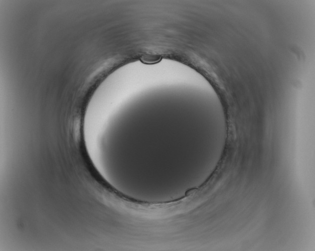 X0000114520019200911091200