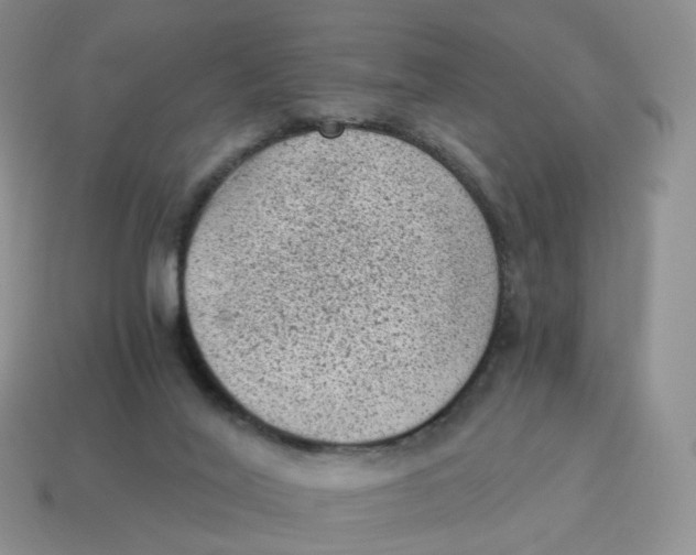 X0000114520020200911091200