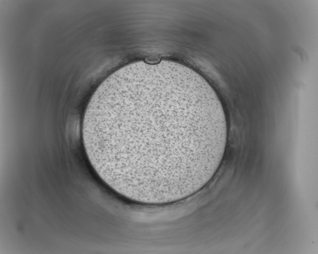 X0000114520021200911091200