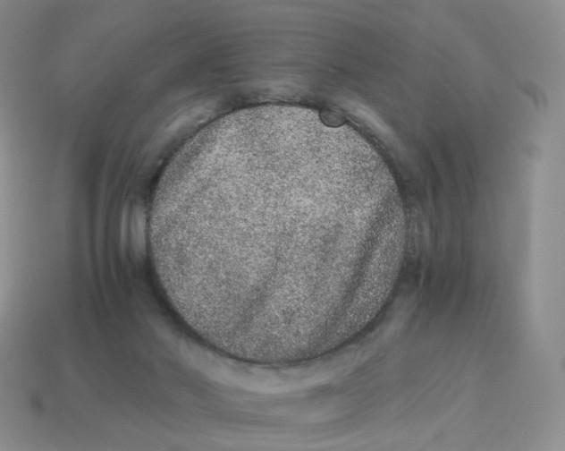 X0000114520022200911091200