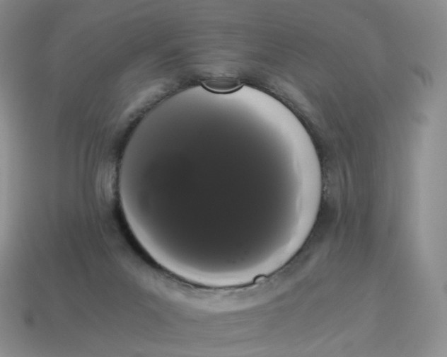 X0000114520023200911091200