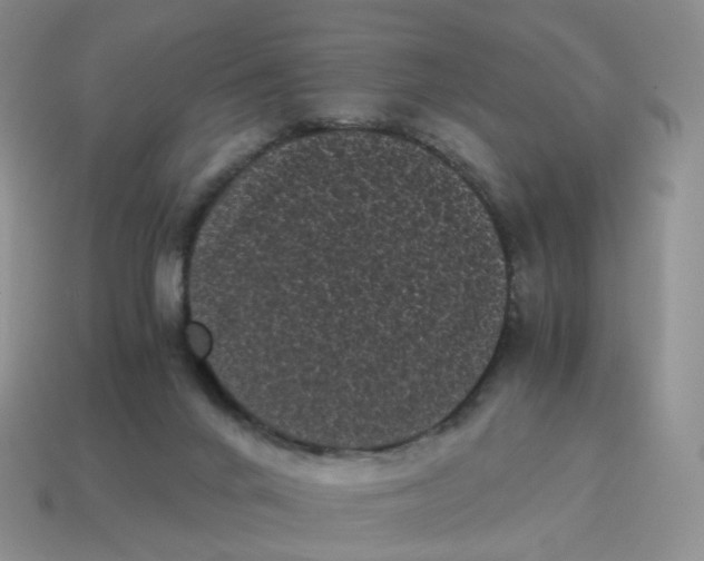 X0000114520024200911091200