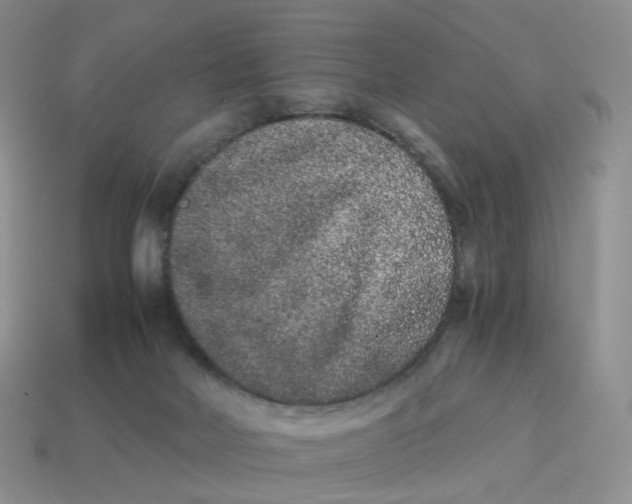 X0000114520026200911091200