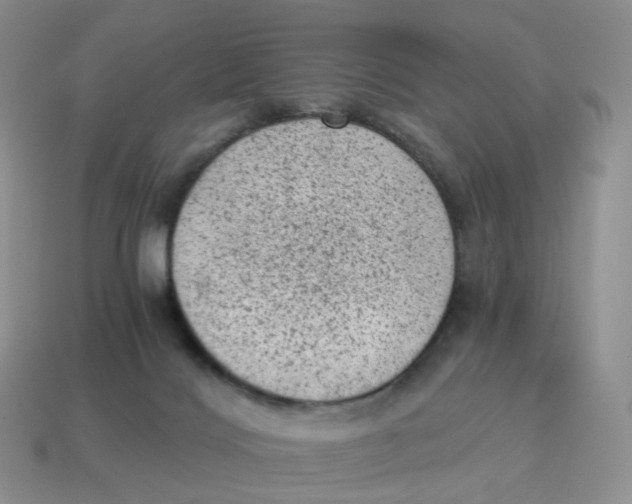 X0000114520028200911091200