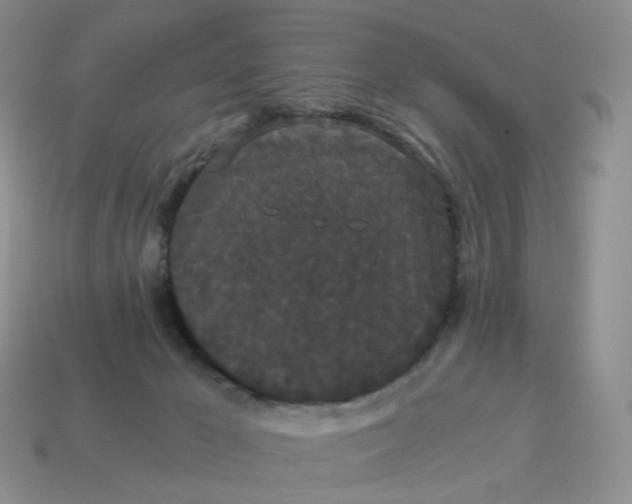 X0000114520029200911091200