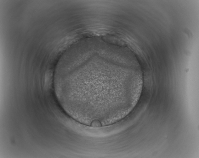 X0000114520030200911091200