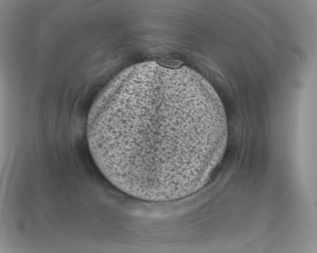 X0000114520033200911091200