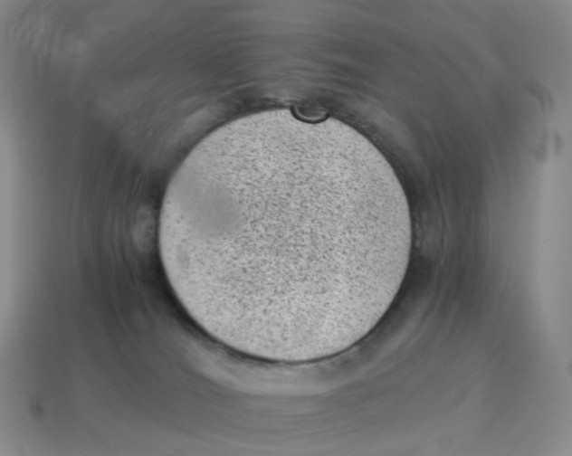 X0000114520036200911091200