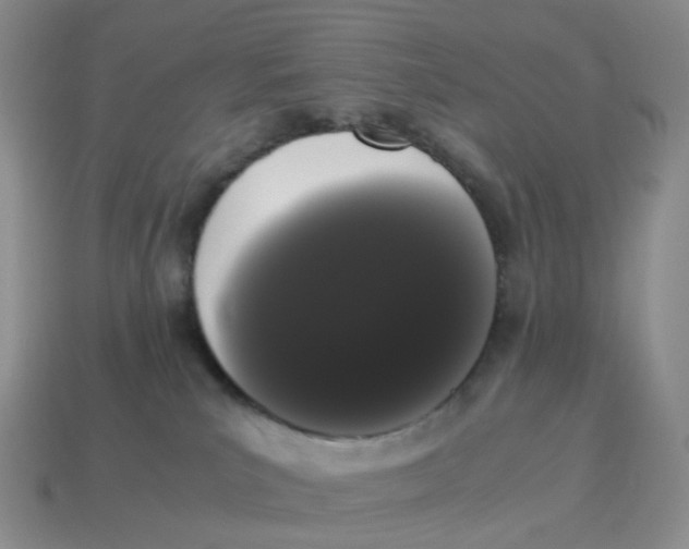 X0000114520039200911091200