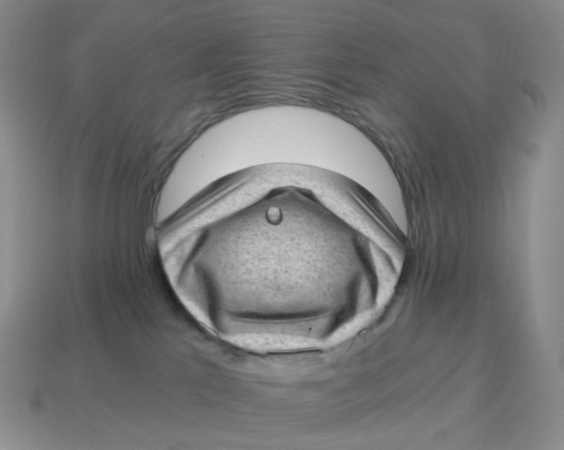 X0000114520041200911091200