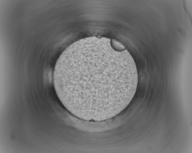 X0000114520042200911091200