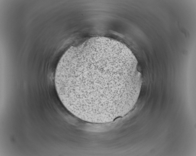 X0000114520045200911091200