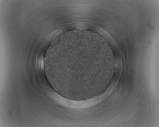 X0000114520046200911091200