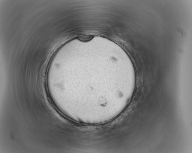 X0000114520049200911091159