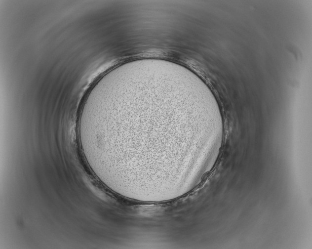 X0000114520050200911091159