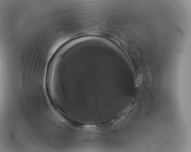 X0000114520052200911091159