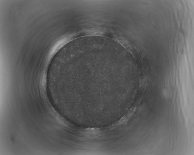 X0000114520053200911091159