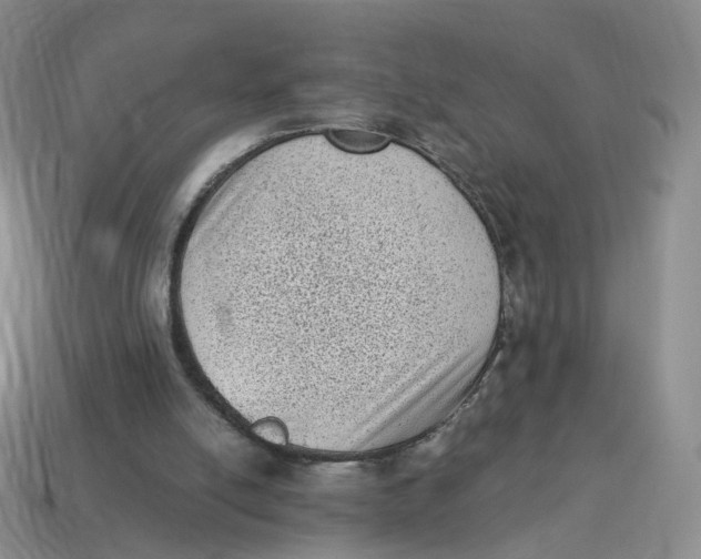 X0000114520054200911091159